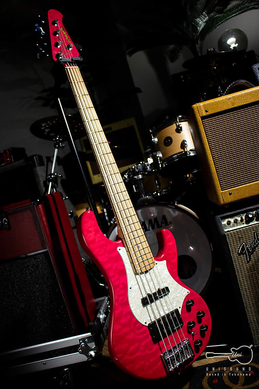 EDWARDS エドワーズ E-T-170BD( See Thru Pink)【L'Arc～en