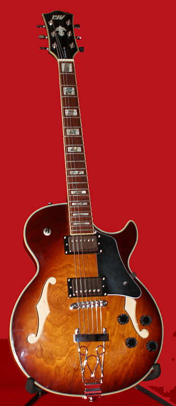 独特の上品 IYV Guitar Electric Acoustic Body Hollow Semi TSB IJZ-300 人文