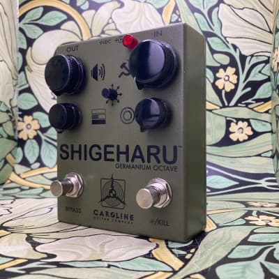 Reverb.com listing, price, conditions, and images for caroline-guitar-company-shigeharu