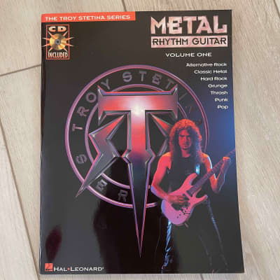 Troy stetina metal rhythm guitar top