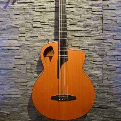 Furch B61CM Acoustic Bass image 2