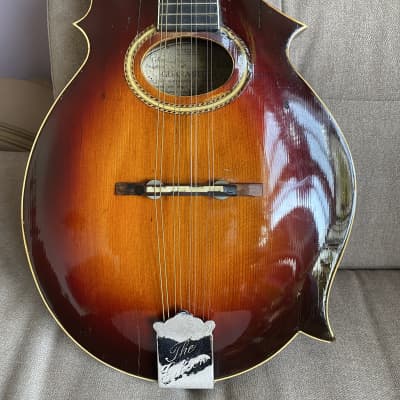 Gibson 3 Point Mandolin F-2 Early 1900’s image 2