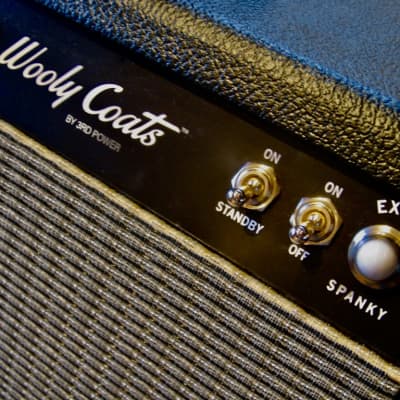 3rd Power Wooly Coats Extra Spanky 6VEL 1x12 Combo - Black / Silver - MINT image 3