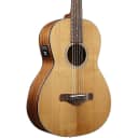 Ibanez AVN9SPENT Thermo Aged Parlor Acoustic-Electric Guitar Regular Natural