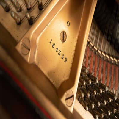 Steinway & Sons Model O Grand Piano | Walnut | SN: 164559 image 6
