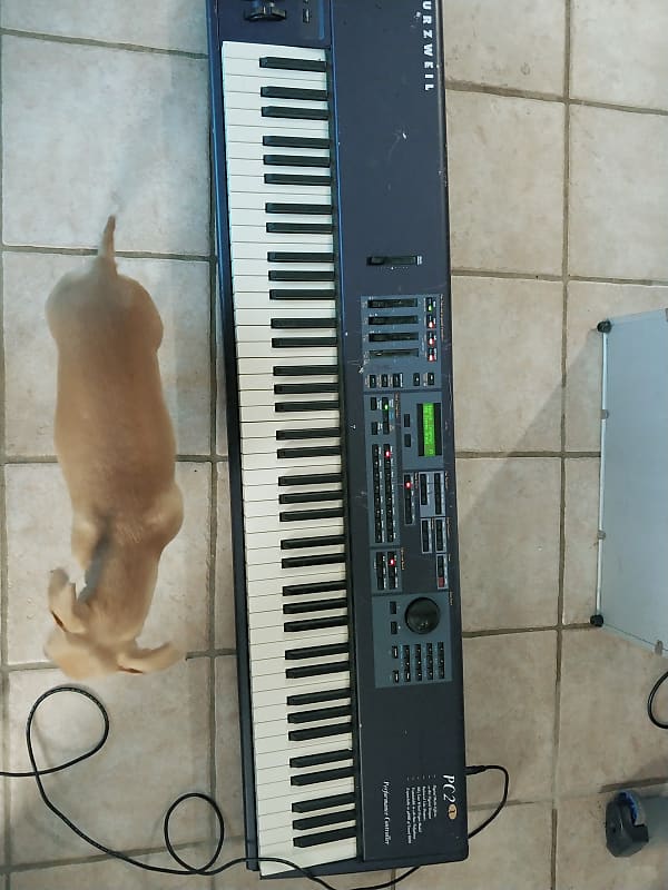 Kurzweil PC2X Keyboard 88 Keys image 1