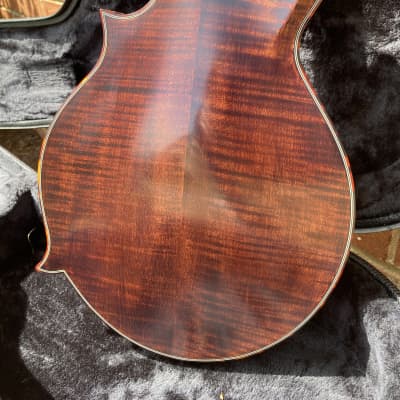 Micawber Cheverly Mandolin image 8