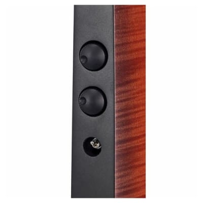 NS Design NXT4a Omni Bass - E to G -
Sunburst, New, Free Shipping, Authorized Dealer image 6