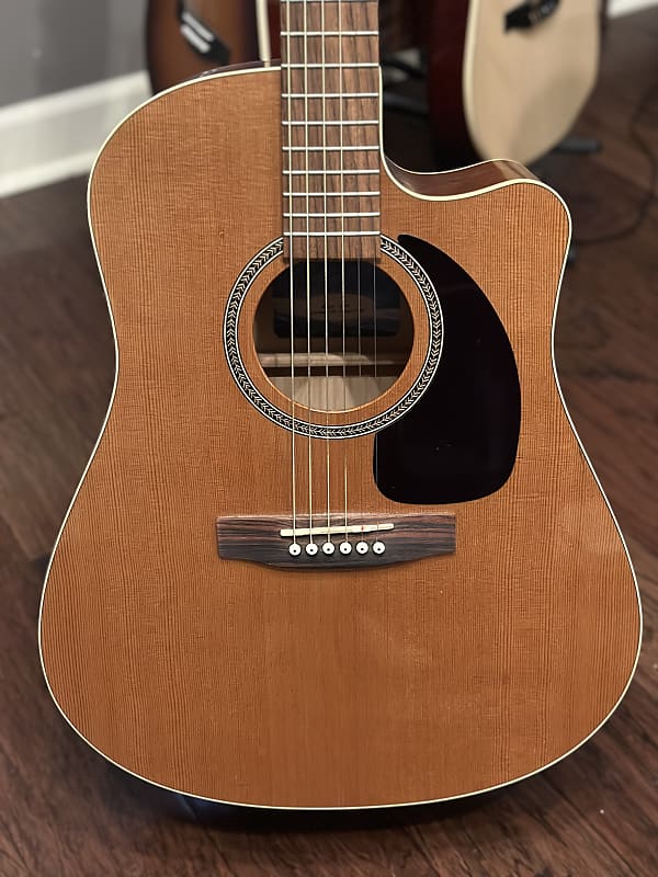 Seagull Performer CW GT Q11 Cedar 2018-ish - Gloss | Reverb