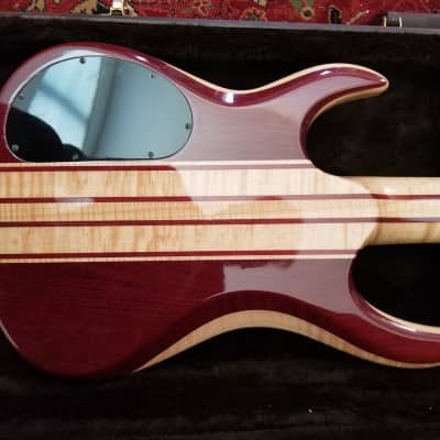 Rare Custom Lado Studio 5 String Bass image 5