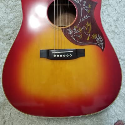 Takamine/Elite HM-25 in 1974 | Reverb