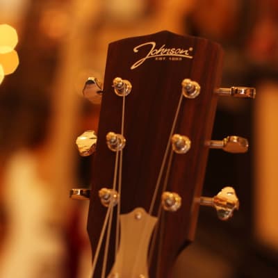 Johnson Guitars JR-994E - Nickel Plated - Resonator Guitar image 3