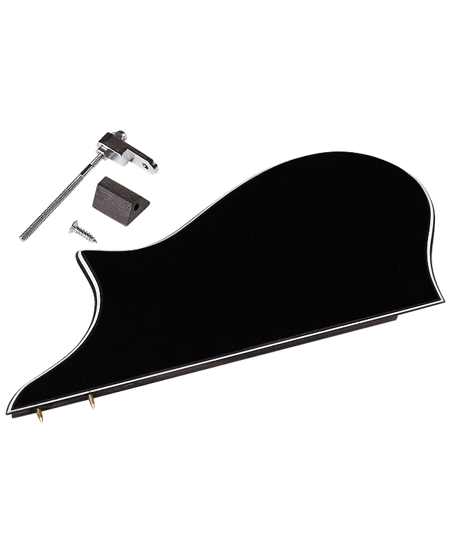 Golden Gate M401A FStyle Mandolin Pickguard Assembly Black Reverb