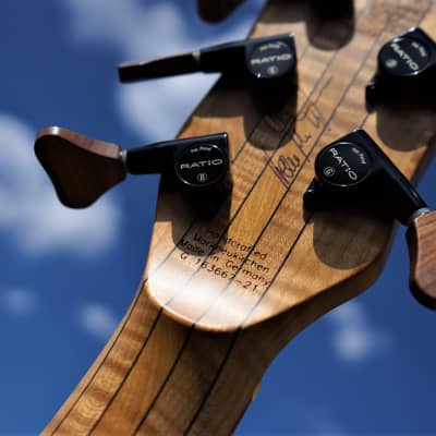 Warwick Custom Shop Streamer Stage 1 Neck Through LTD 2021 Left-Handed 5-String Bass - 25/25 Made NOS image 14