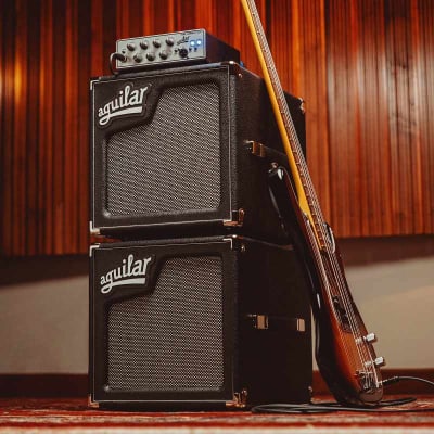 AGUILAR SL1108 Standard - SL-110 1x10 150W 8ohms Black image 2