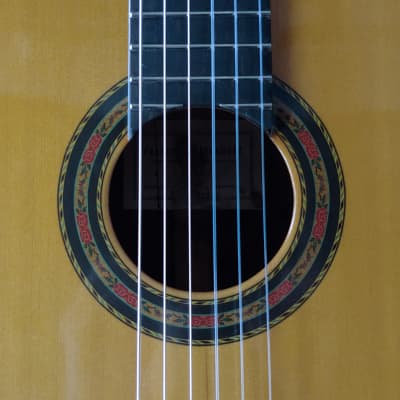 1964 Francisco Fernandez Brazilian Rosewood Classical Guitar image 7