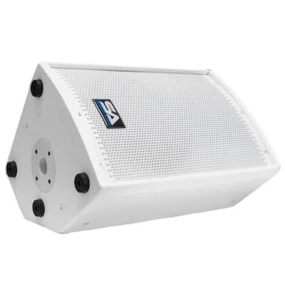 New SEISMIC AUDIO 10" White PA/DJ Speaker/Floor Monitor image 5