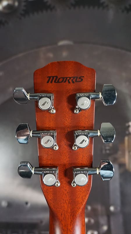 ギター Morris MF603 Morris MF-603 国産 トップ単板モデル！ S＆Bはボリビアンローズ
