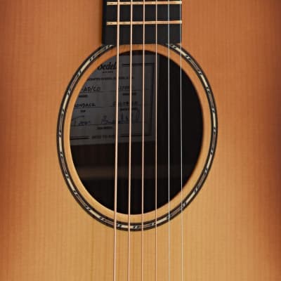 Bedell Revolution Dreadnought Acoustic Guitar, Adirondack Spruce & Cocobolo image 4