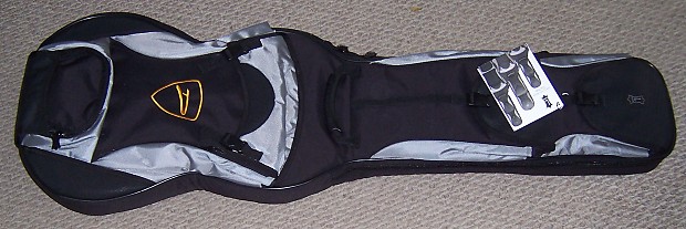 Dingwall gig bag sales