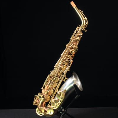 邦楽 Voices and Instruments Berglund Instruments NuRAD R2 Hanshin Tigers Special Edition
