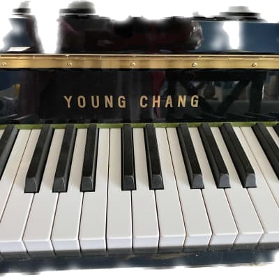 Young Chang UPRIGHT 2015 - Black image 1