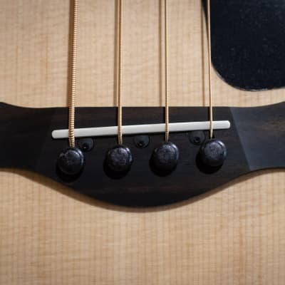 Taylor GS Mini-e Maple Acoustic/Electric Bass w/ GS Mini Hard Bag - Demo image 11