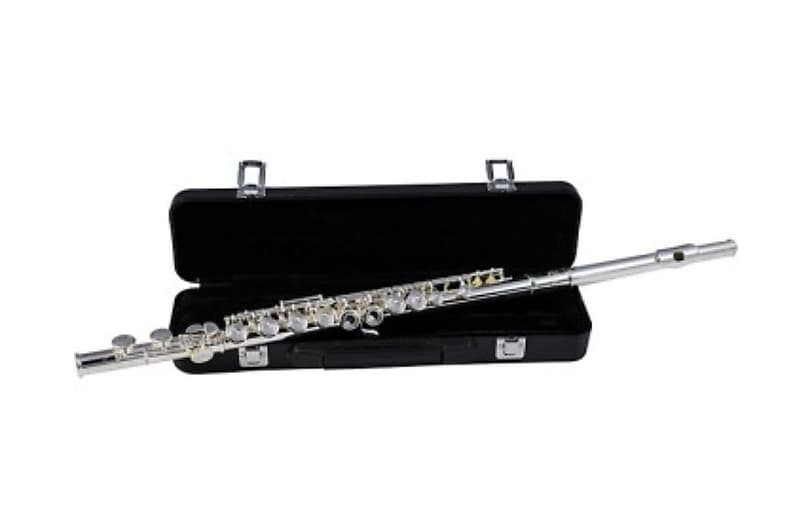 Etude EFL-200 Student Series Flute with Offset G, C-Foot 2010s - Silver image 1