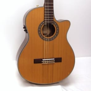 【ジャンク】Fender CN-240SCE NAT エレガット FENDER CN-240SCE V2 Thinline エレガット入手