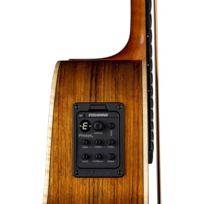 Luna Vista Bear Acoustic Electric Bass w/ Hardshell Case, Pau Ferro Fretboard image 4