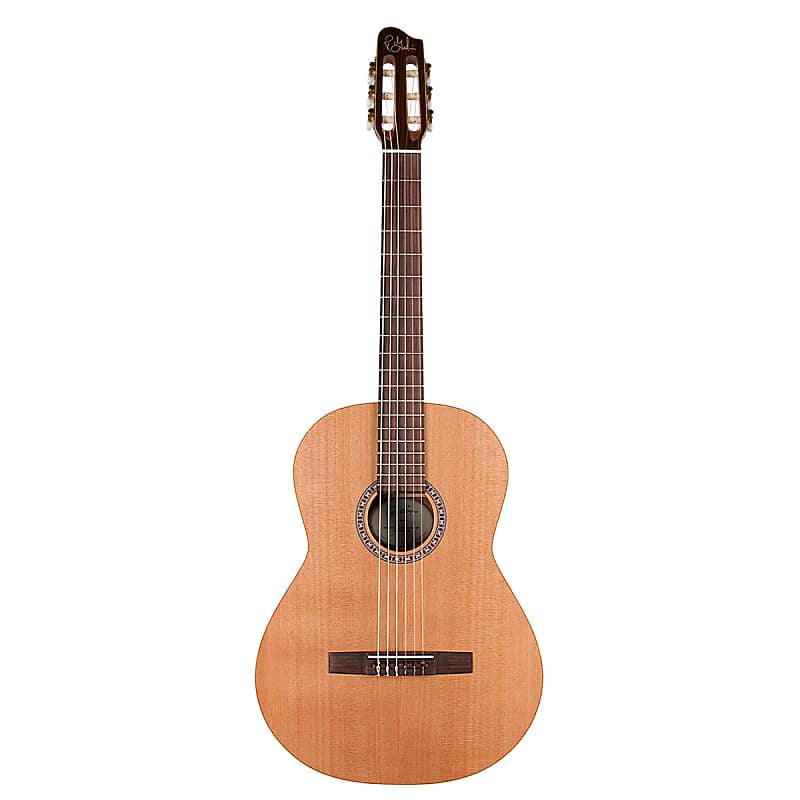 Godin Concert Nylon String Guitar | Reverb