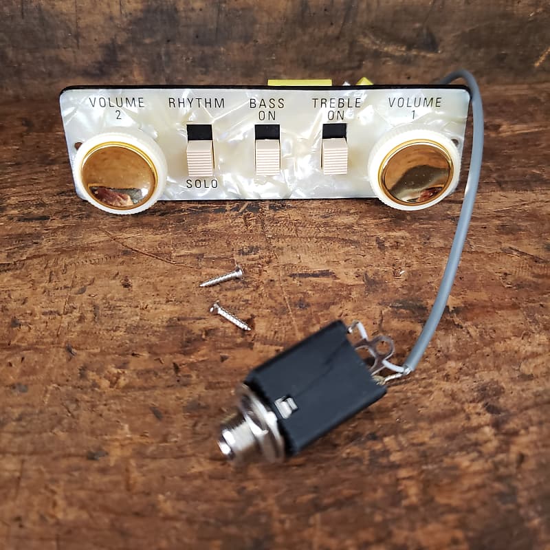 Hofner HA2B-PC Wired Control Panel For German Beatle / Club