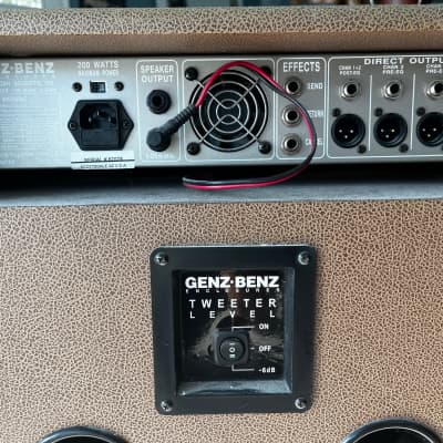 Genz Benz SHEN100 Shenandoah 100 Acoustic Guitar Amplifier (100 Watts, 1x12 in.) image 2