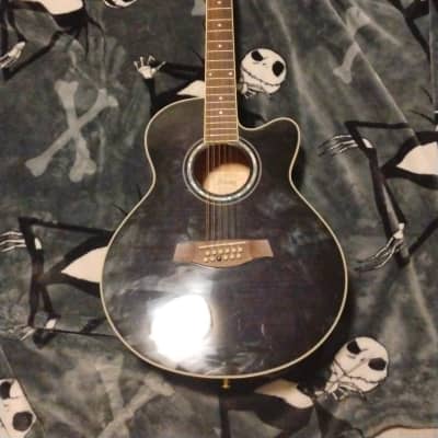IBANEZ AEL20 acoustic guitars for sale in USA | guitar-list