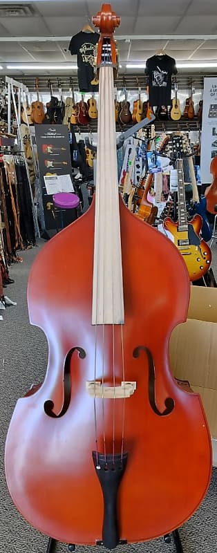 Palatino VB-004 Crack-Resistant Upright Bass with Padded Bag, | Reverb