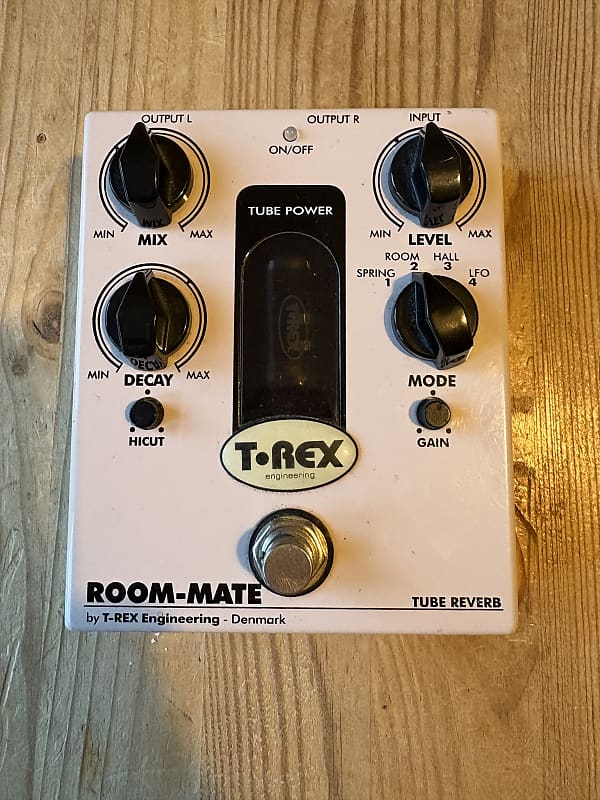 T-Rex Room-Mate