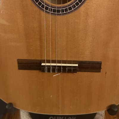 Giannini GN-15N Classical Guitar 2010s - Spruce/Nato image 5
