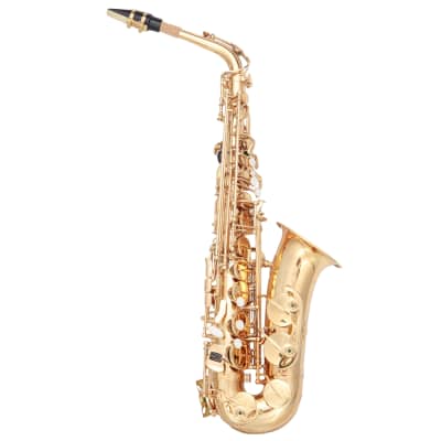 Glarry Alto Saxophone E-Flat Alto SAX Eb with 11reeds, case, carekit, Gold Color for Students image 14
