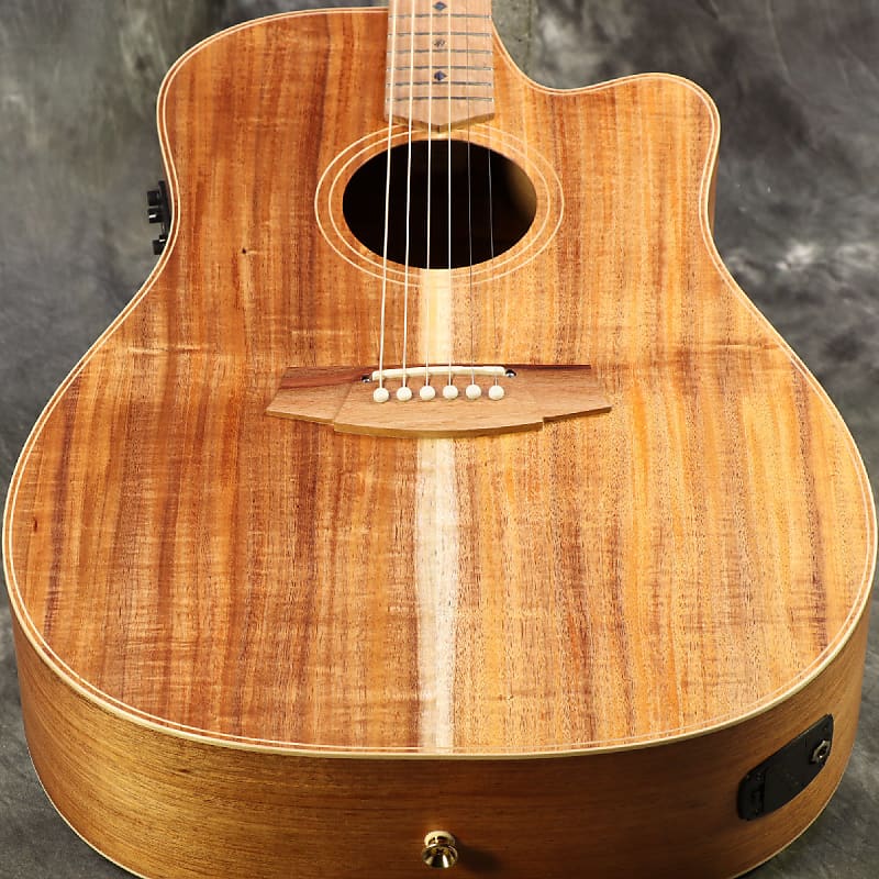 Cole clark outlet dreadnought