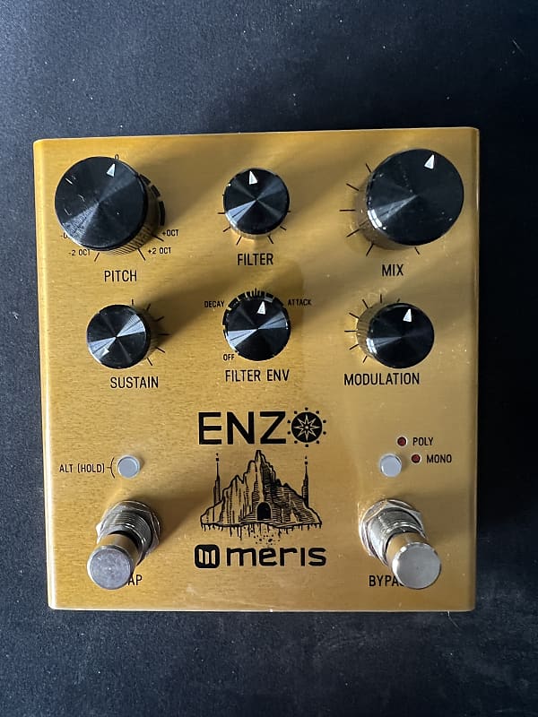 Meris Enzo