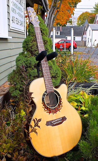 TAKAMINE 2000 LTD