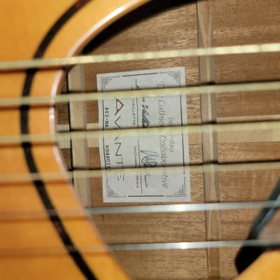 Avante AV2 Baritone Acoustic Guitar w/new pack of Elixir strings and hardshell case image 20