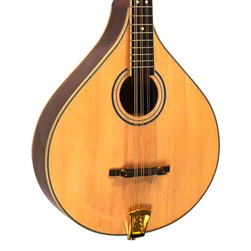 Gold Tone OM-800+ Octave Mandolin (Mahogany)