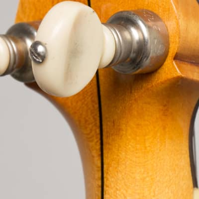 Fairbanks/Vega  Whyte Laydie Style R Conversion 5 String Banjo (1920), ser. #44339, tweed hard shell case. image 16