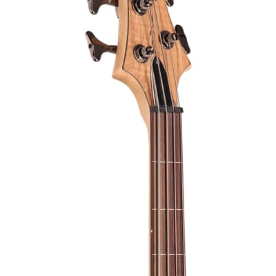 ESP LTD B204 Fretless Electric Bass Guitar Natural Satin image 4