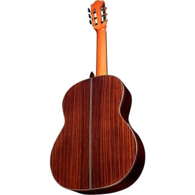 Cordoba C7 CD Cedar Top Indian Rosewood Back and Sides Nylon-String Classical Guitar image 8