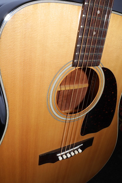Arbor acoustic store guitar