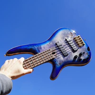 Ibanez 2605 shop