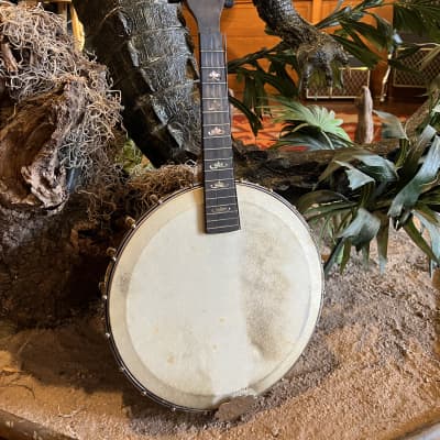 Orpheum No. 1 Mandolin Banjo Project with Original Hard Case image 1