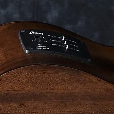 Ibanez PCBE12MH Acoustic-Electric Bass image 6